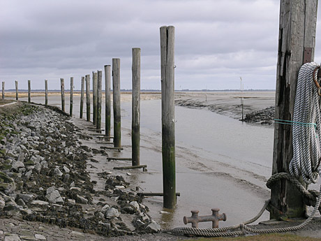 Die Nordsee im Wandel der Gezeiten